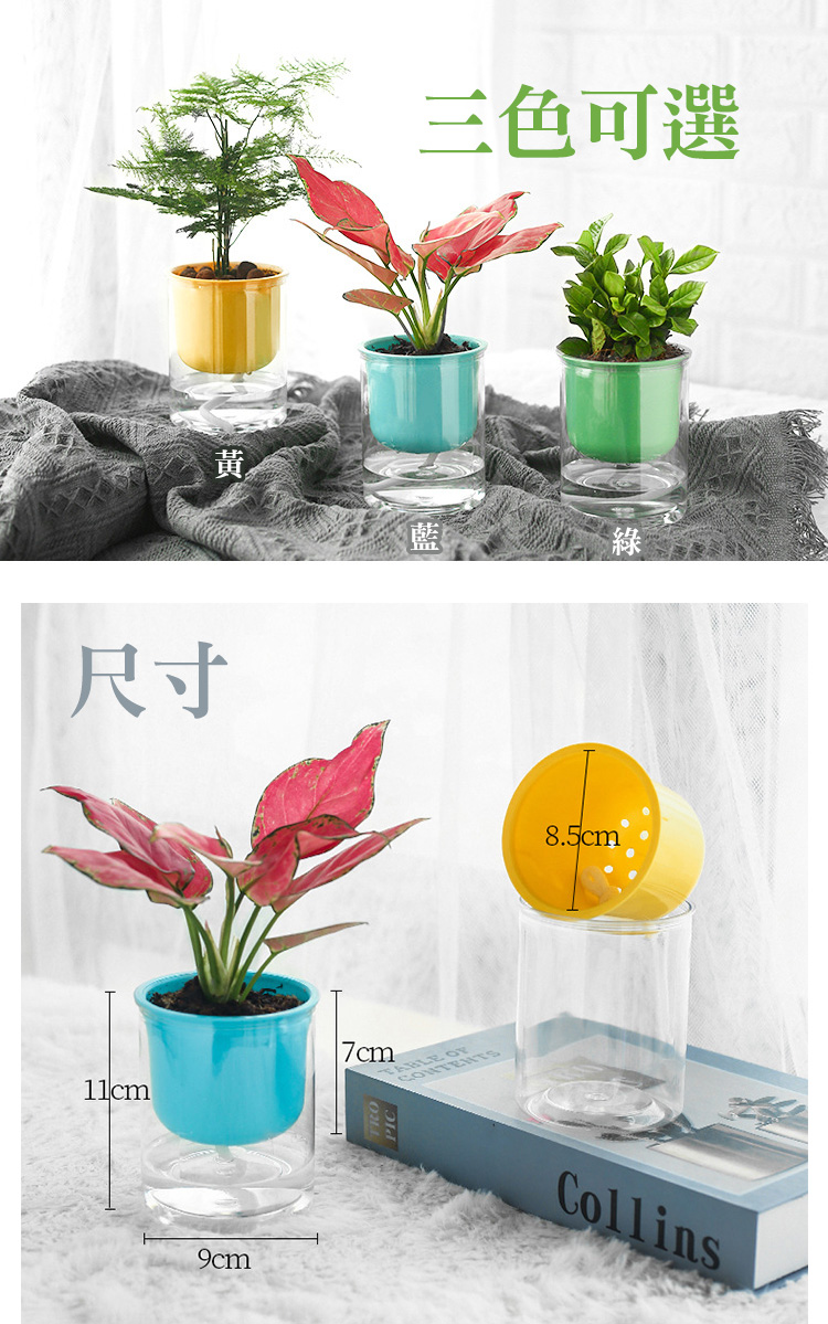 【fioJa 費歐家】馬卡龍系列懶人盆栽 觀賞植物 室內植物 自動吸水 創意花盆