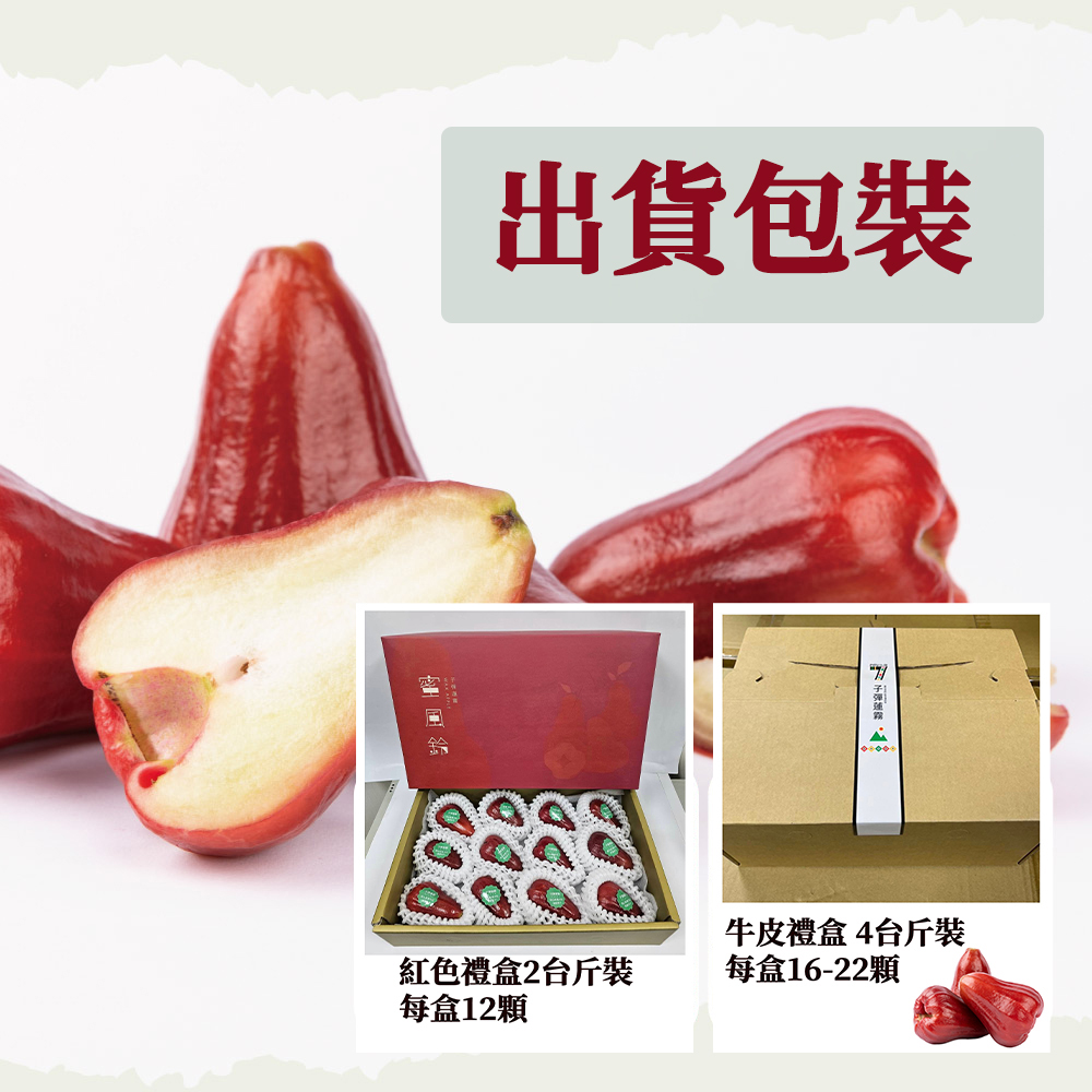 【初品果】高雄六龜子彈蓮霧2斤/4斤禮盒