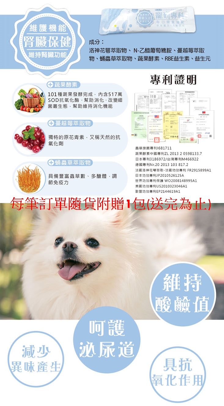 【寵物夢工廠】L號 / 寵物可拆卸尿便盆 寵物訓練 寵物尿盆(定點訓練 狗尿盆 