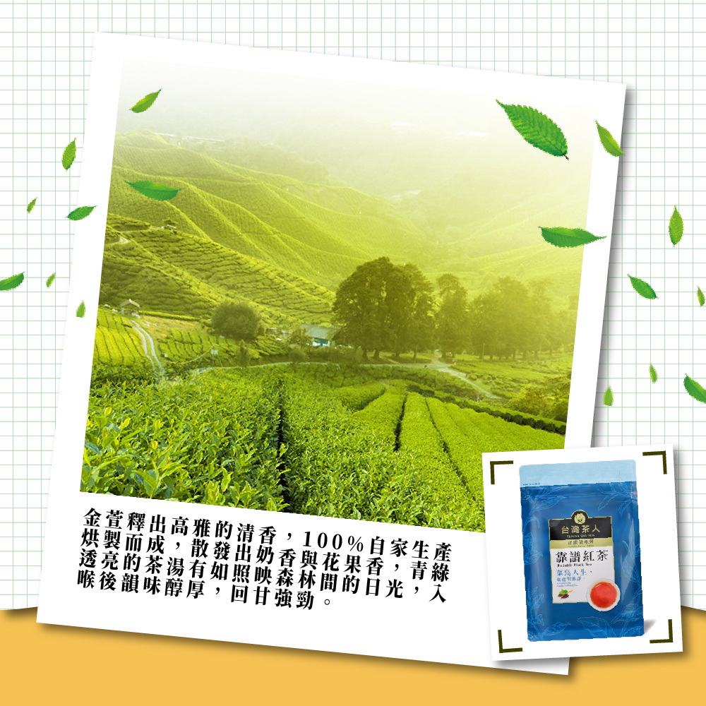 【台灣茶人】正能量系列沖泡茶包(25包/袋) 紅茶 綠茶 烏龍 金萱 玫瑰綠茶
