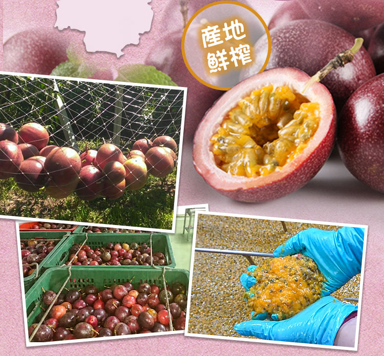 【享吃美味】鮮凍100%百香果原汁500ml 百香果汁 果汁 時鐘果