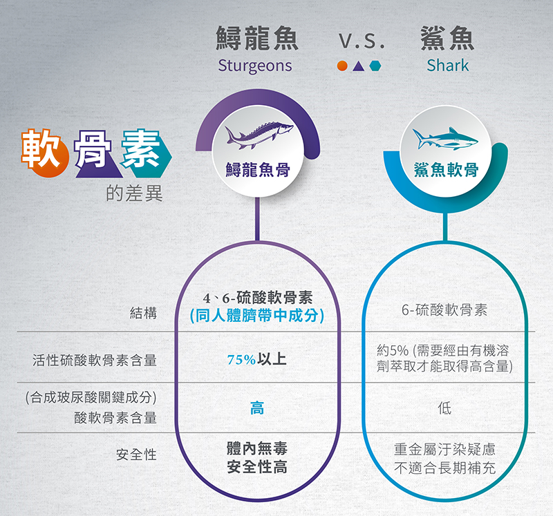 【炘宸生技】鱘熹王(60粒/盒) 專利K2龍複方膠囊 UC2 MSM 貓爪藤