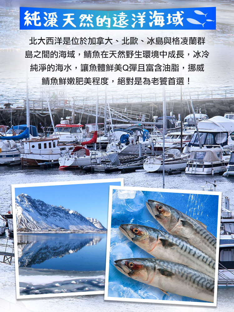 【享吃海鮮】老饕挪威薄鹽鯖魚200g 鯖魚片 鯖魚排