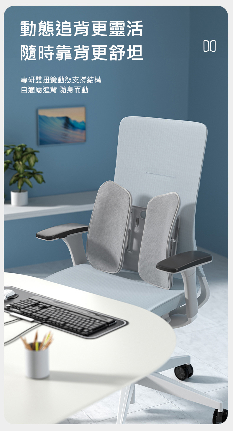 人體工學肺葉調整型追脊護腰靠墊 腰墊 腰枕 調整坐姿腰靠