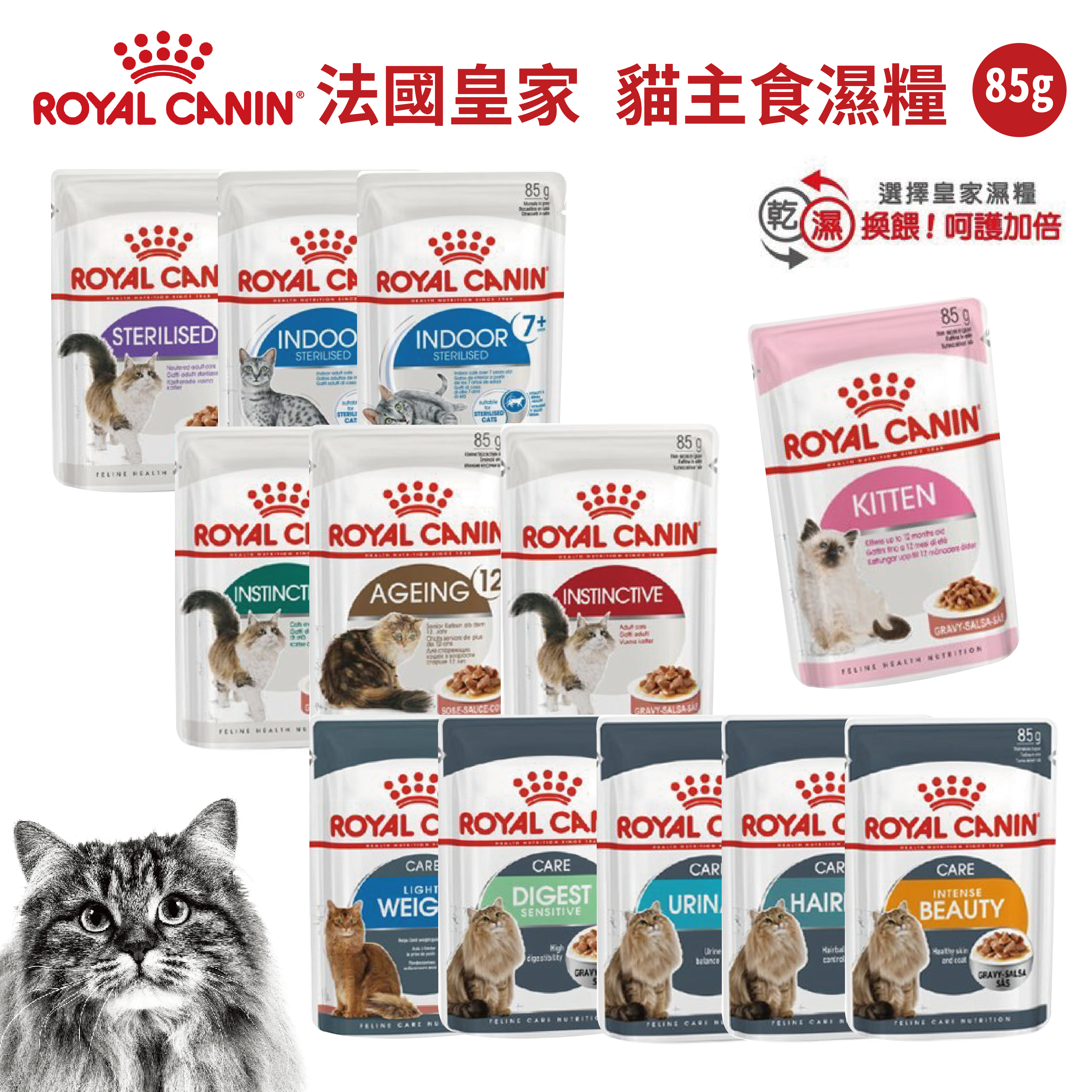 【Royal Canin法國皇家】皇家饗宴 貓主食濕糧全品項任選(85g/包)