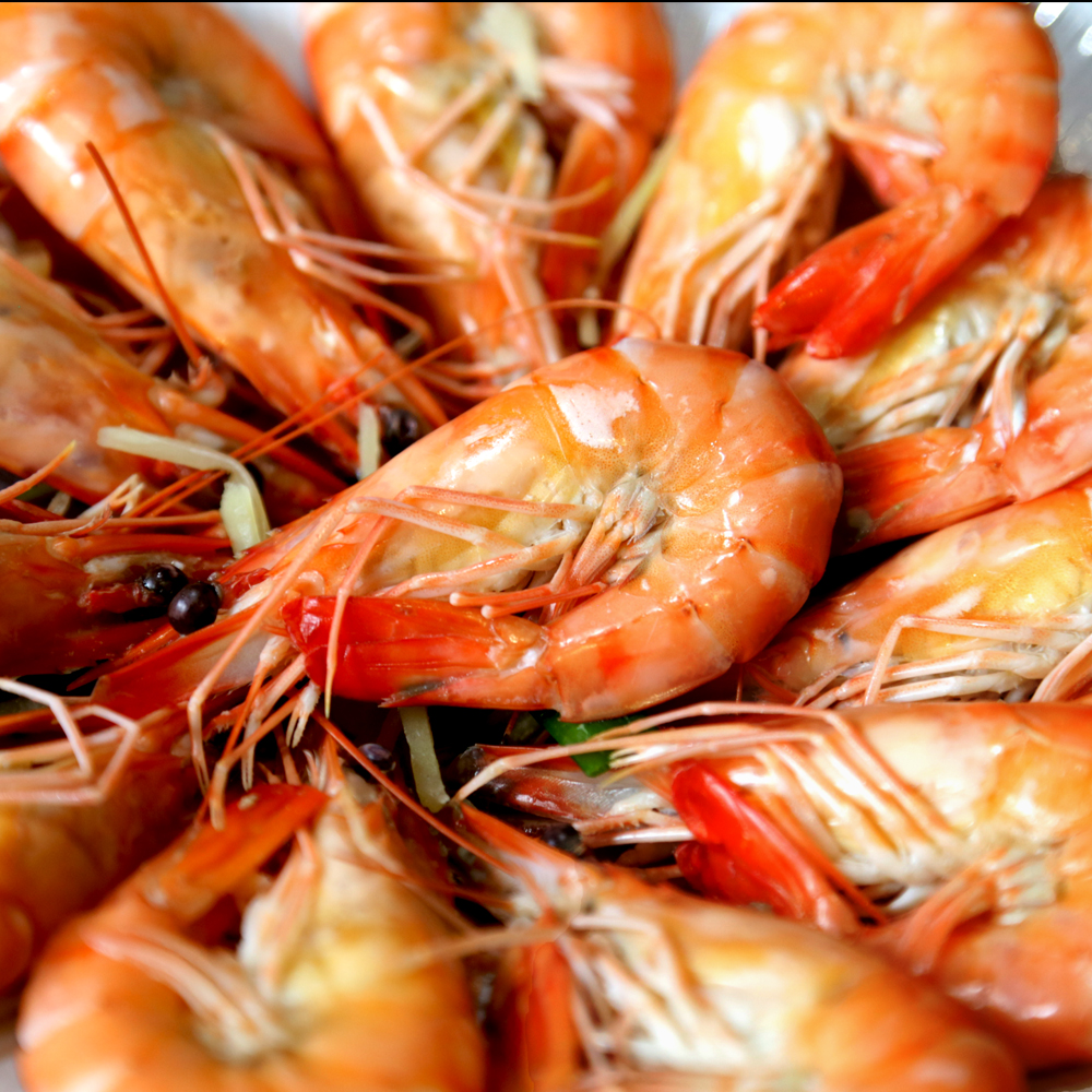 【華得水產】新鮮草蝦12盒組(300g/12-14尾/盒)