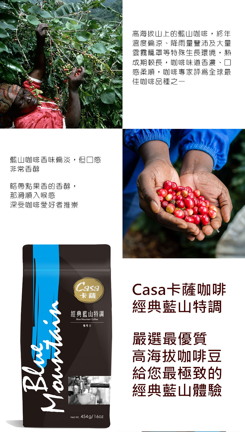 【Casa卡薩】嚴選經典特調咖啡豆(經典藍山/義式特調) 454g