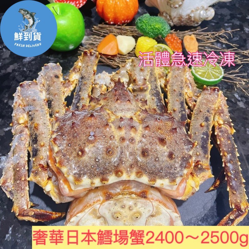 【鮮到貨】頂級活凍日本霸王級帝王蟹2400~2500克/隻