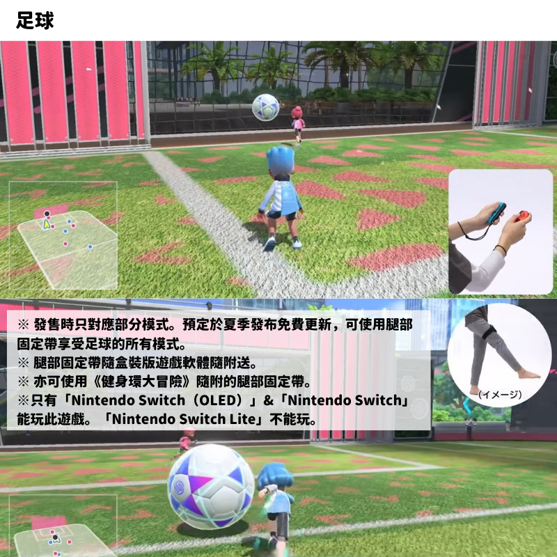 【Nintendo任天堂】Switch Sports 運動+運動配件套裝組+遊戲