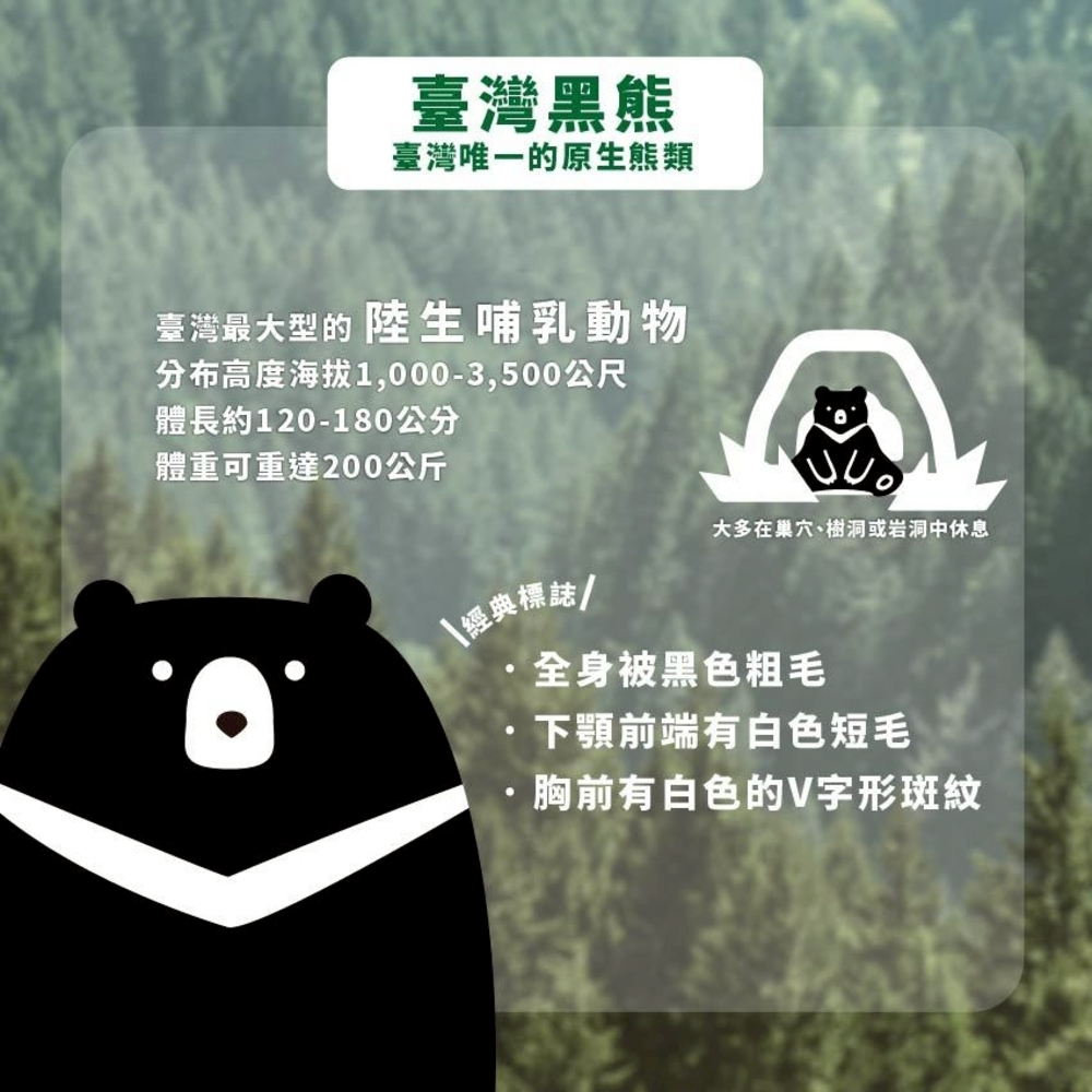 【臺北市立動物園】100%生乳保久乳 200ml 台灣黑熊款 牛乳 牛奶