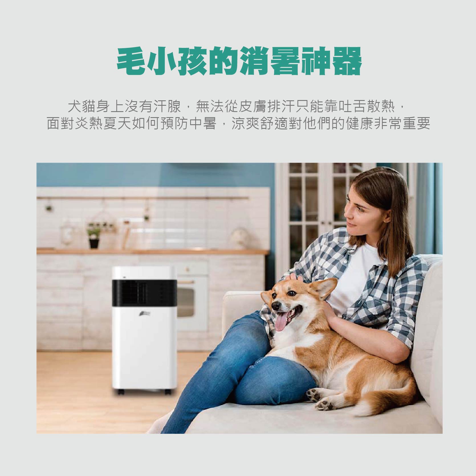 【JJPRO 家佳寶】3000Btu 露營寵物 移動式冷氣 (JPP21)