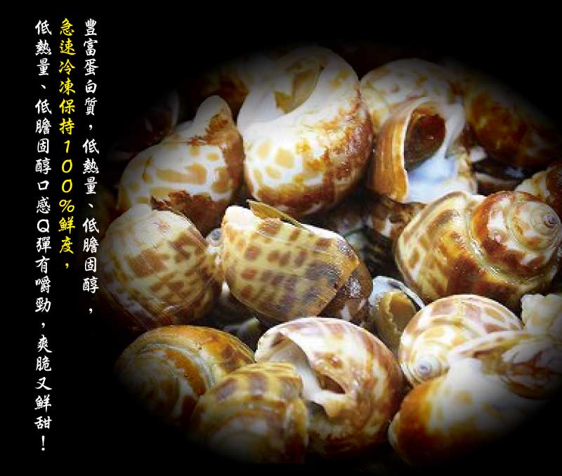 【小川漁屋】嚴選活凍鳳螺 (500g±10%/包)