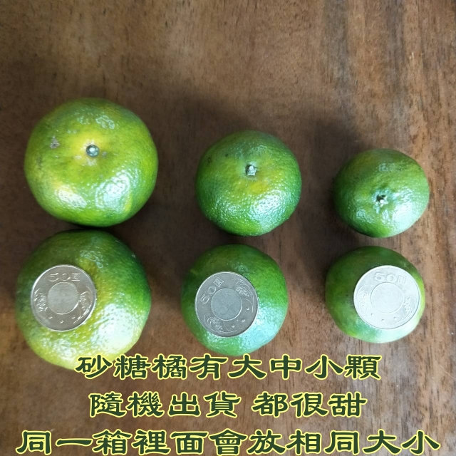 【歐吉商】安心迷你綠皮砂糖橘5台斤