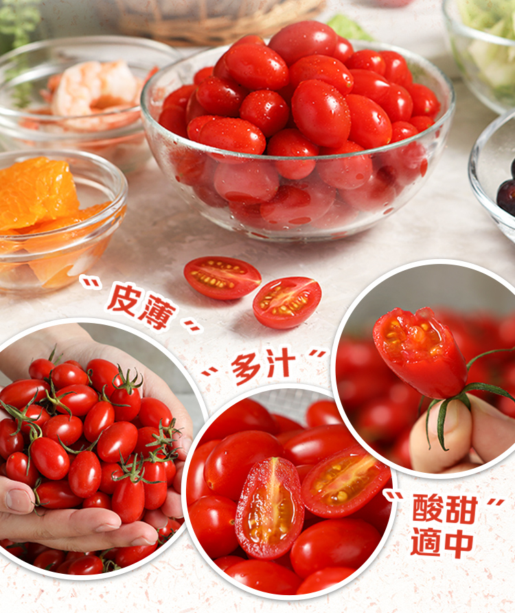 【享吃鮮果】鮮採玉女小番茄