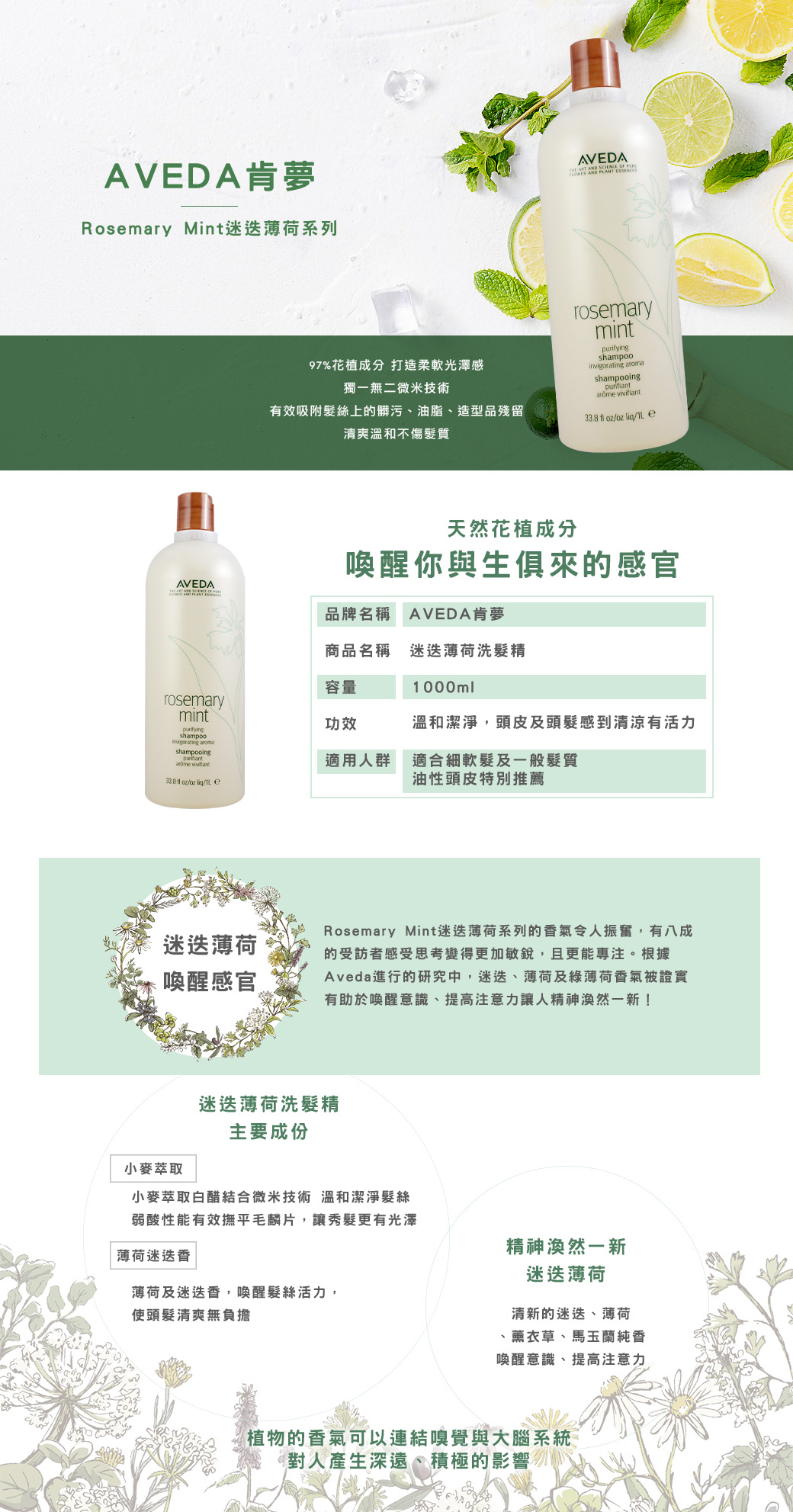 【AVEDA】 純香/迷迭薄荷/蘊活菁華更新/潤澤洗髮精1000ml任選