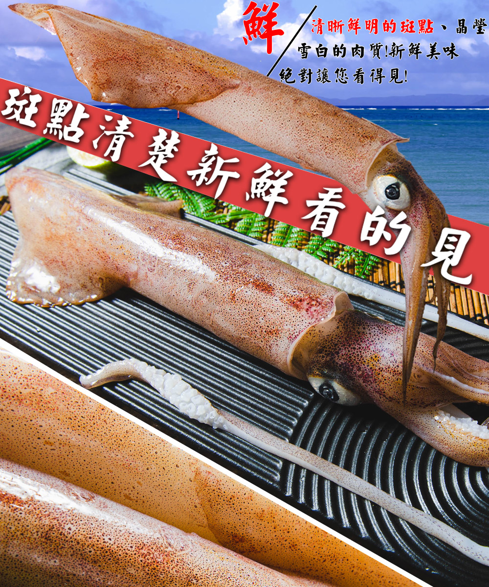 【鮮綠生活】野生船凍透抽500g 26-30公分(2隻入) 花枝 小卷 大卷