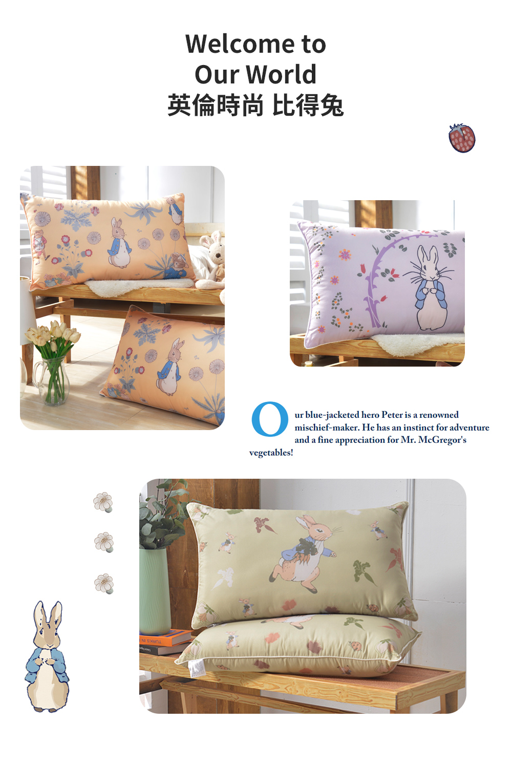 【PETER RABBIT】比得兔V&A博物館聯名抗菌枕 可水洗 台灣製造 枕頭