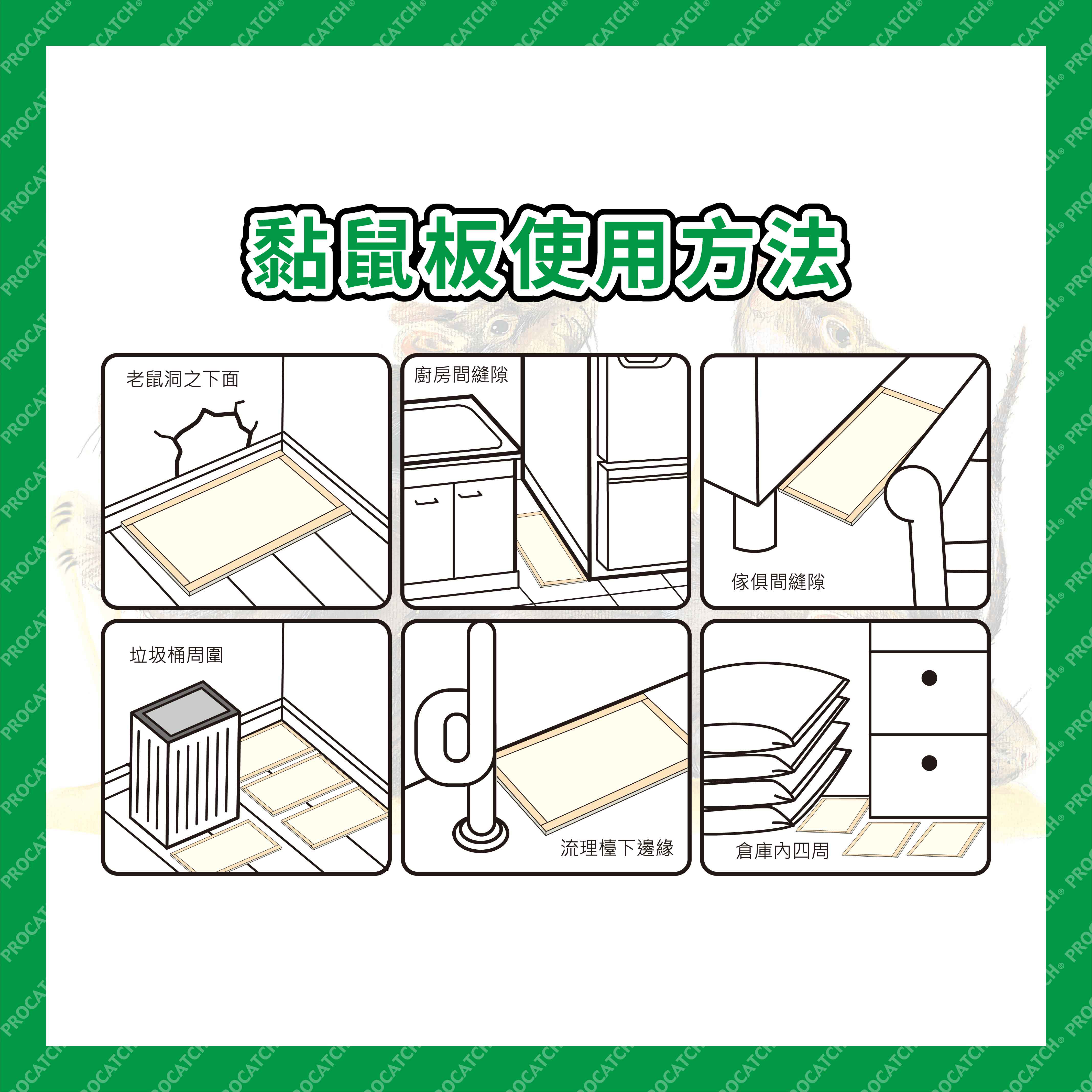 【上黏】中型黏鼠板2入/盒 加味奶香 土豆味 肉味