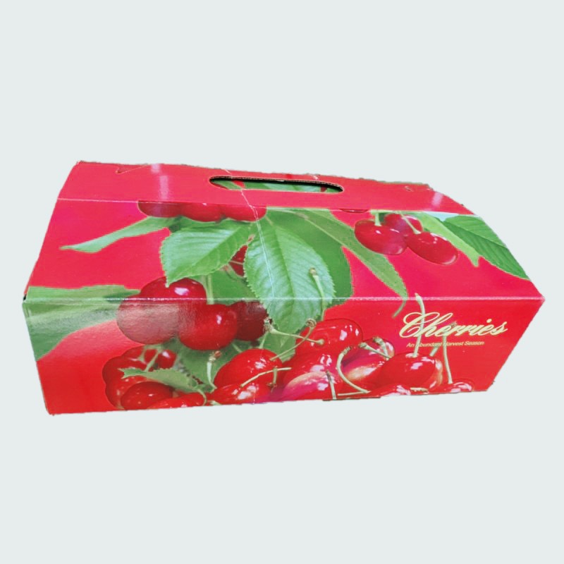       【WANG 蔬果】美國加州空運巨無霸8.5R櫻桃(2盒_1Kg/盒