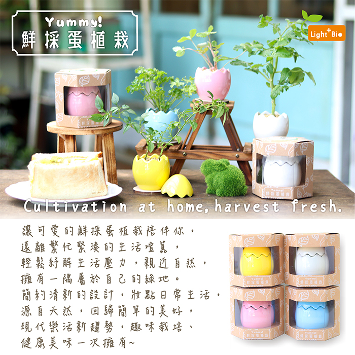 迎光 Yummy 鮮採蛋植栽迷你番茄 迷你草莓 五彩辣椒 歐芹可選 生活市集 迎光 Yummy 鮮採蛋植栽迷你番茄 迷你草莓 五彩辣椒 歐芹可選 生活市集