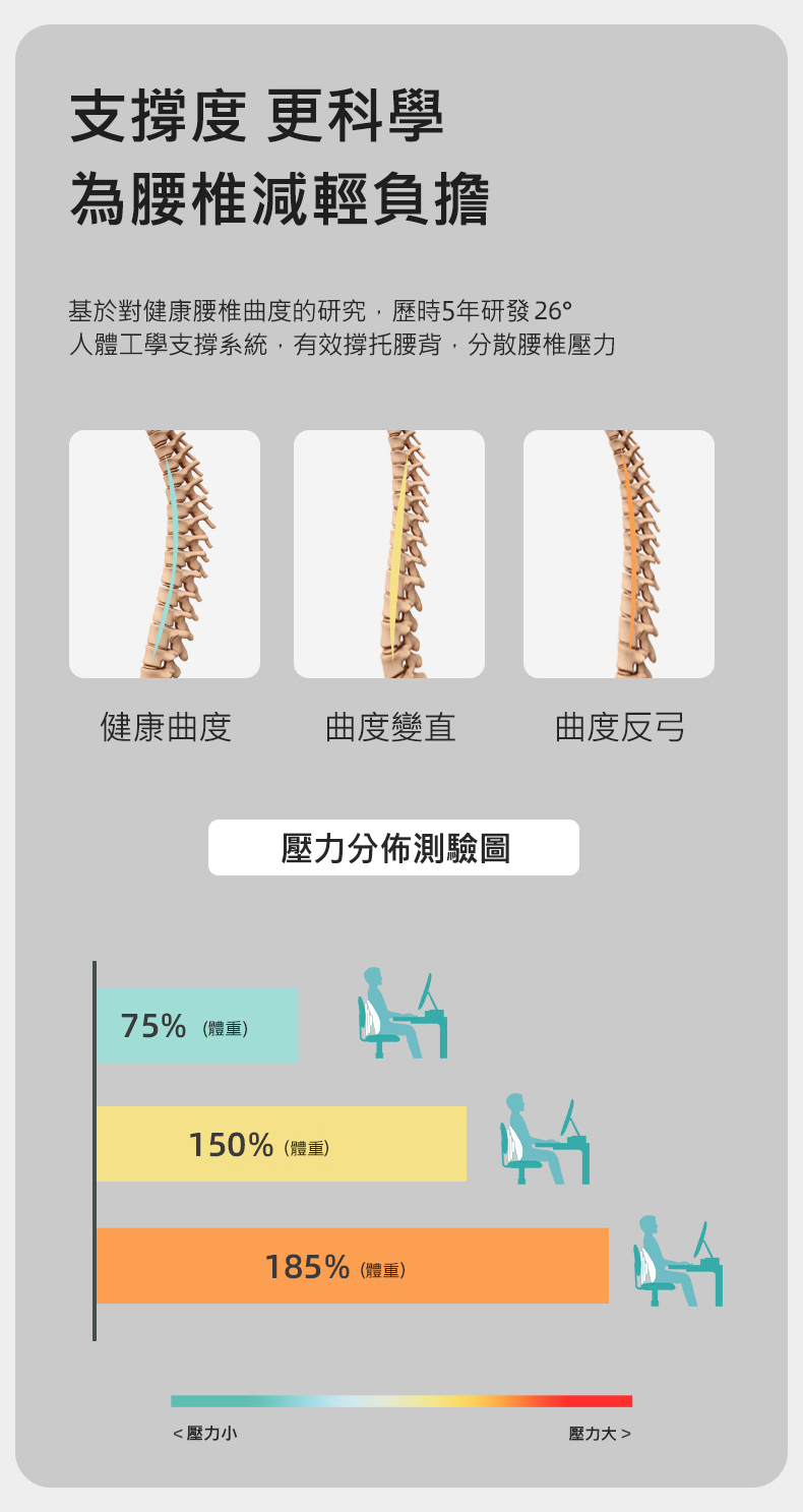 人體工學肺葉調整型追脊護腰靠墊 腰墊 腰枕 調整坐姿腰靠