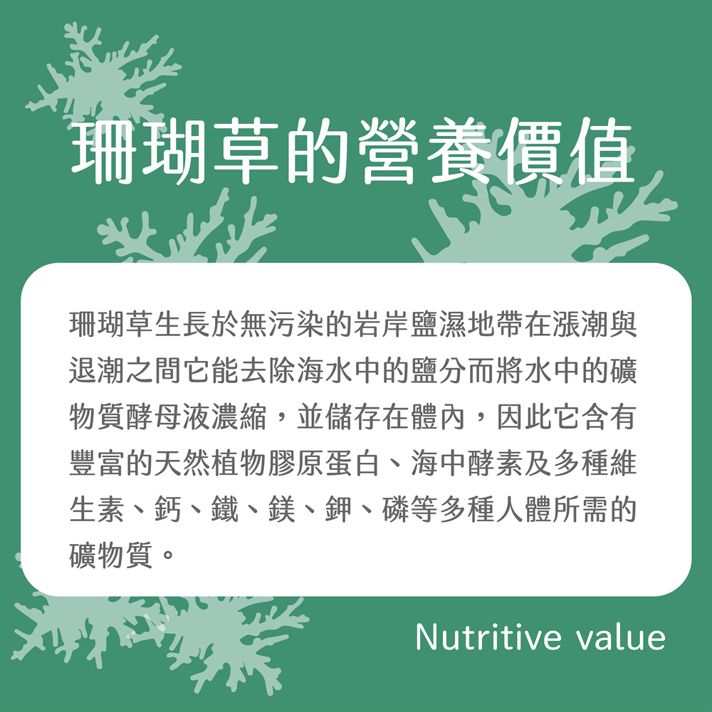 【SF】寒天桂圓紅棗珊瑚草海燕窩300gX6入(養顏美容聖品簡單料理)