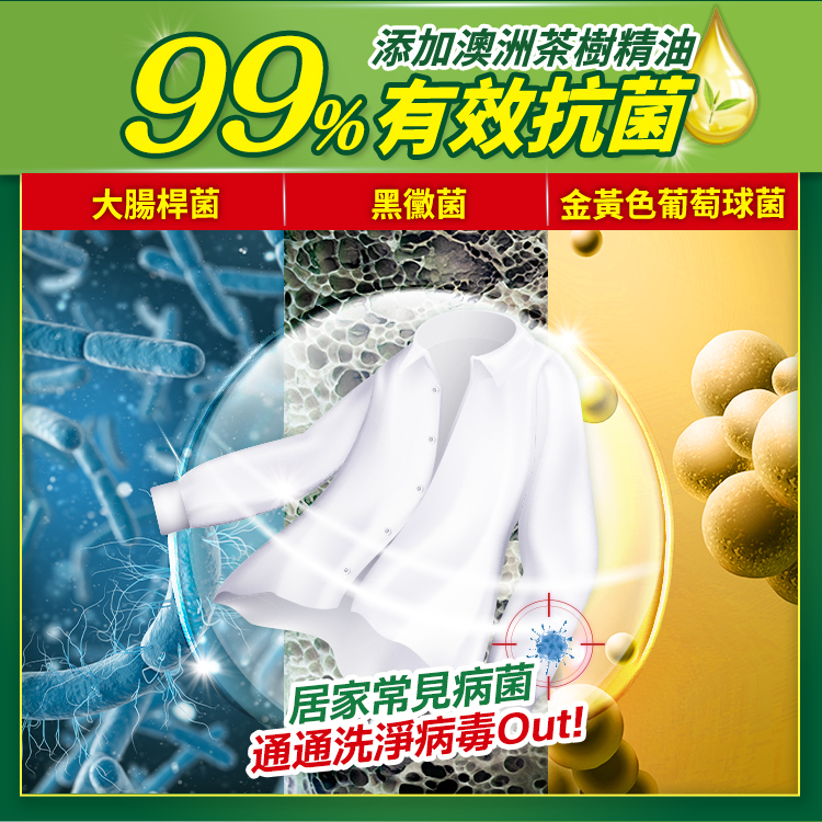 【茶樹莊園】茶樹天然濃縮洗衣精組/洗衣精補充包任選