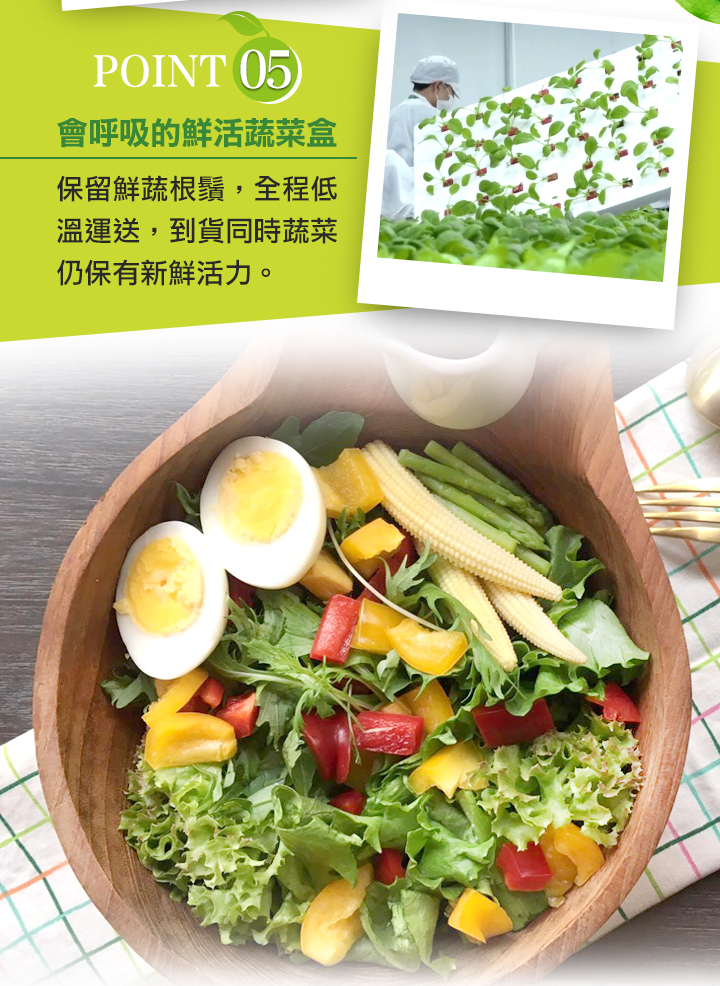       【會呼吸的菜】綜合水耕鮮菜8盒+贈沙拉醬8包(150g±5%/盒)
