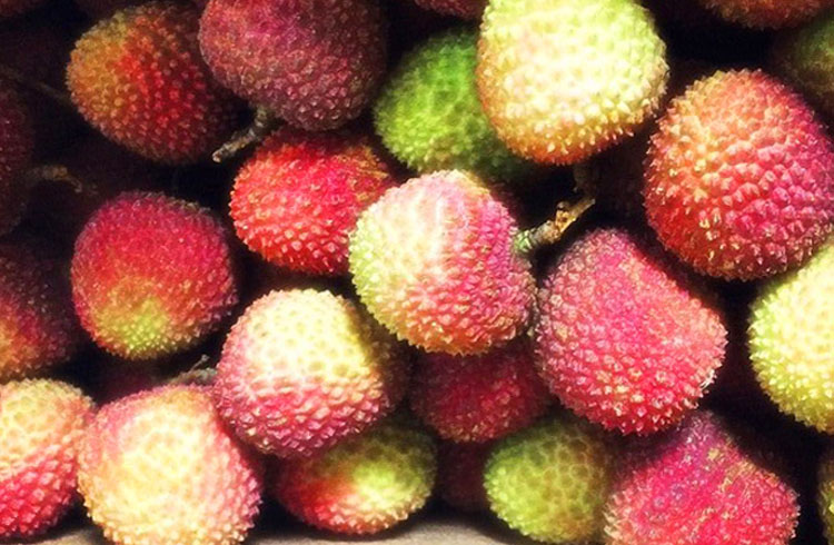 【台灣紅】屏東恆春超小籽爆漿玉荷包荔枝(4斤/盒) 水果禮盒 荔枝禮盒