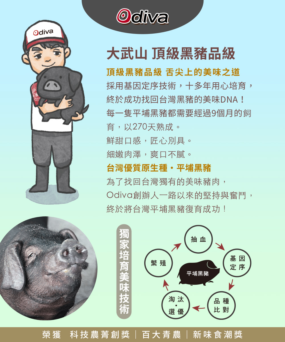 【Odiva】杏仁香脆肉紙禮盒(3盒/組) 0.01cm超薄肉紙 嚴選平埔黑豬肉