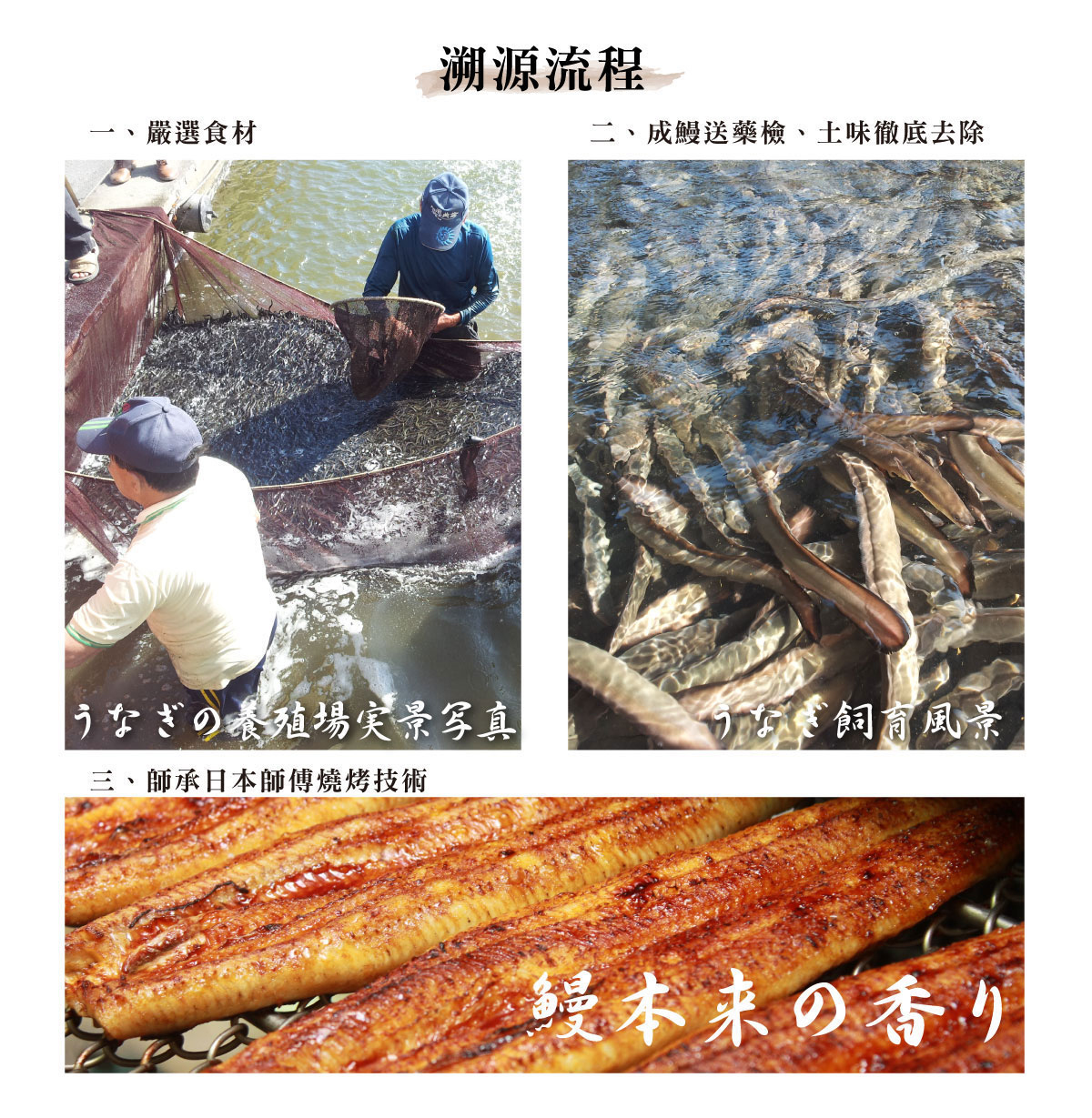 【屏榮坊】日本等級蒲燒鰻魚(400g/包) 蒲燒鰻 鰻魚 蒲燒鰻魚 鰻魚片