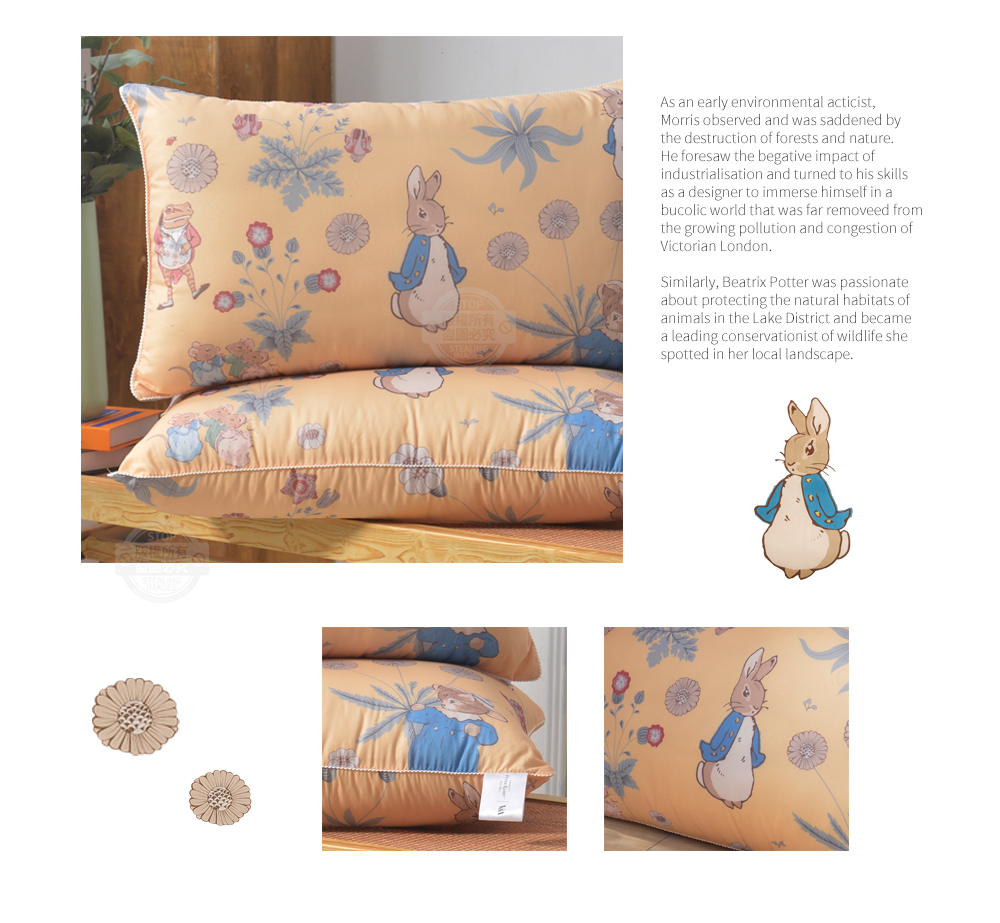 【PETER RABBIT】比得兔V&A博物館聯名抗菌枕 可水洗 台灣製造 枕頭