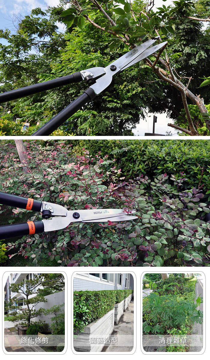 高碳鋼輕量化伸縮式籬笆剪 伸縮設計修剪便捷剪 園藝剪刀 花園剪刀