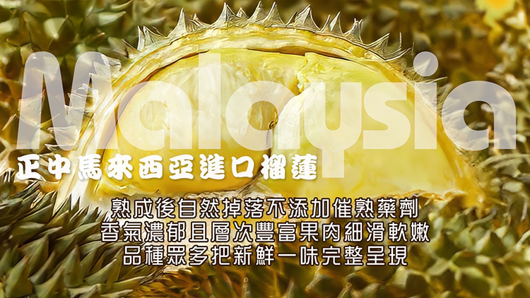 【馬來西亞】冷凍帶殼金貓王榴槤1A果1.6kg 冷凍榴槤 榴槤冰 榴槤肉 水果