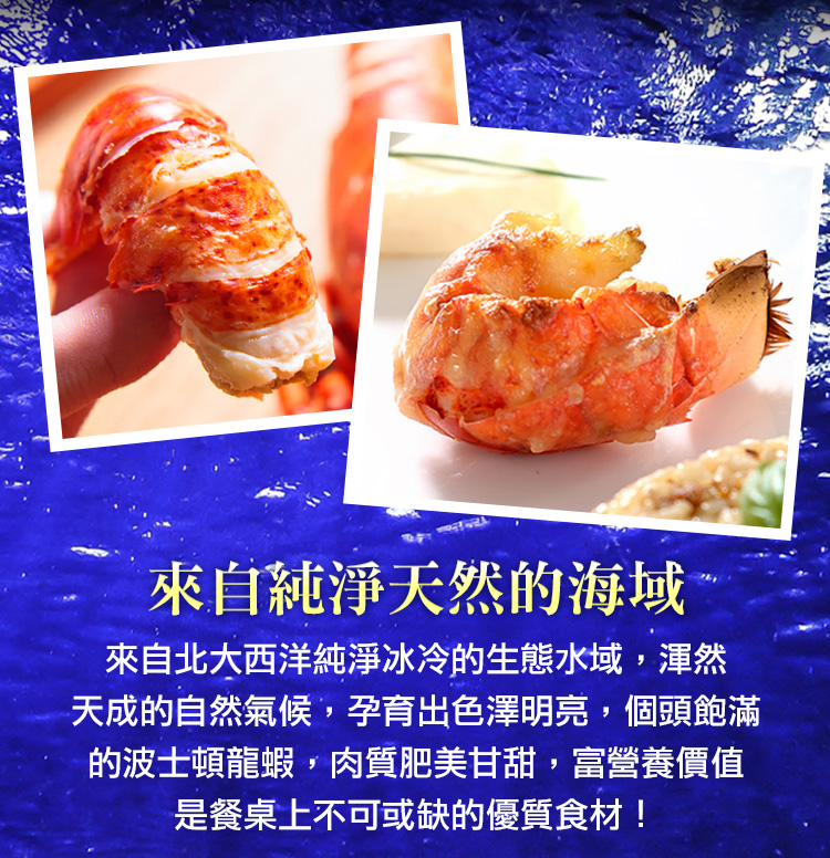       【愛上海鮮】加拿大熟凍波士頓龍蝦5隻(360g±10%/隻)
