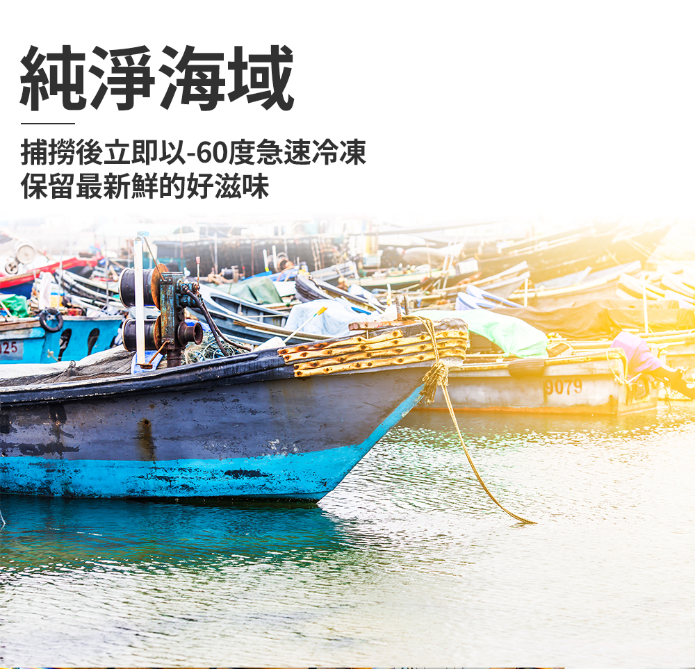 【鮮綠生活】台灣野生船凍大隻小卷(2排) 300g±10%/盒 約4-9隻