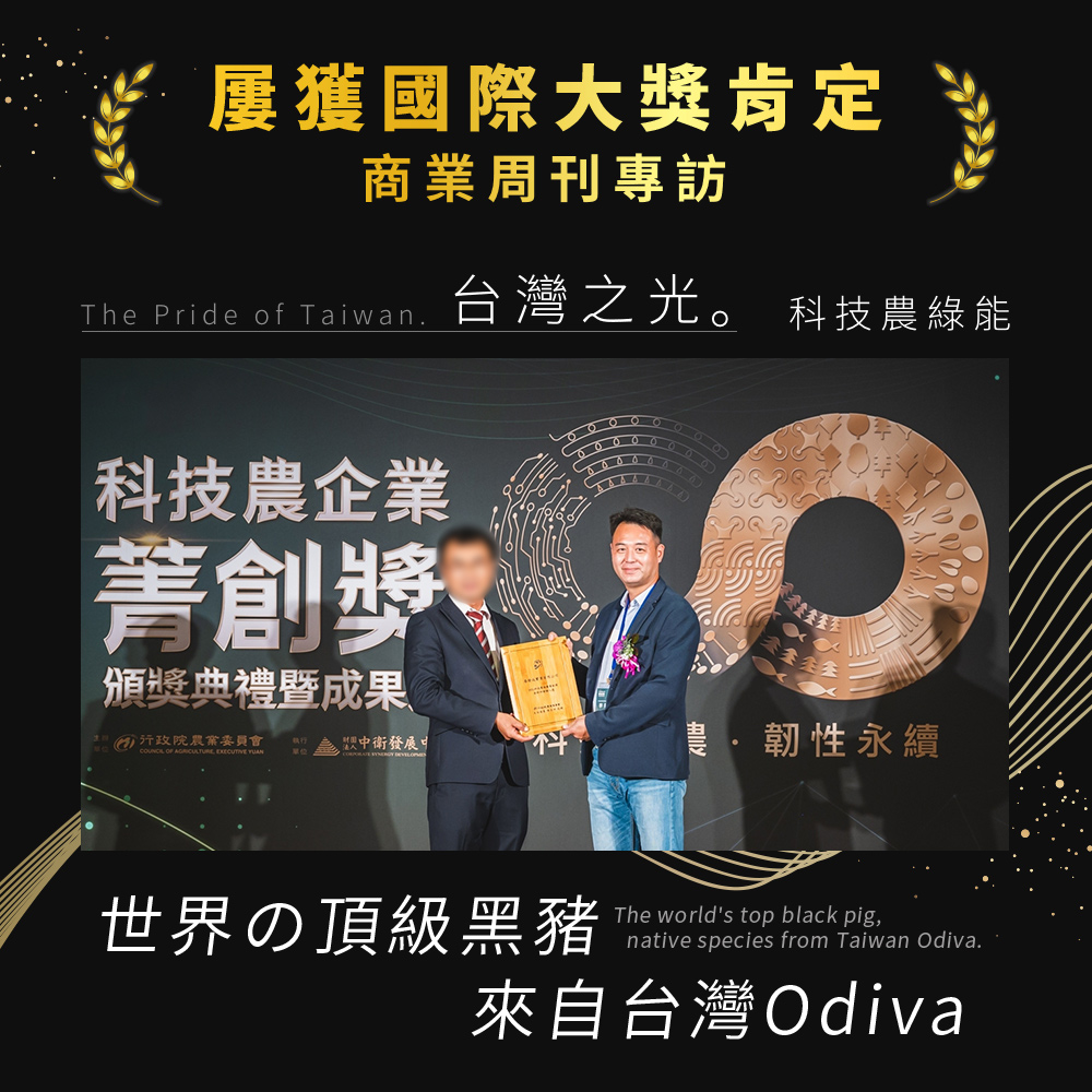 【Odiva】杏仁香脆肉紙禮盒(3盒/組) 0.01cm超薄肉紙 嚴選平埔黑豬肉