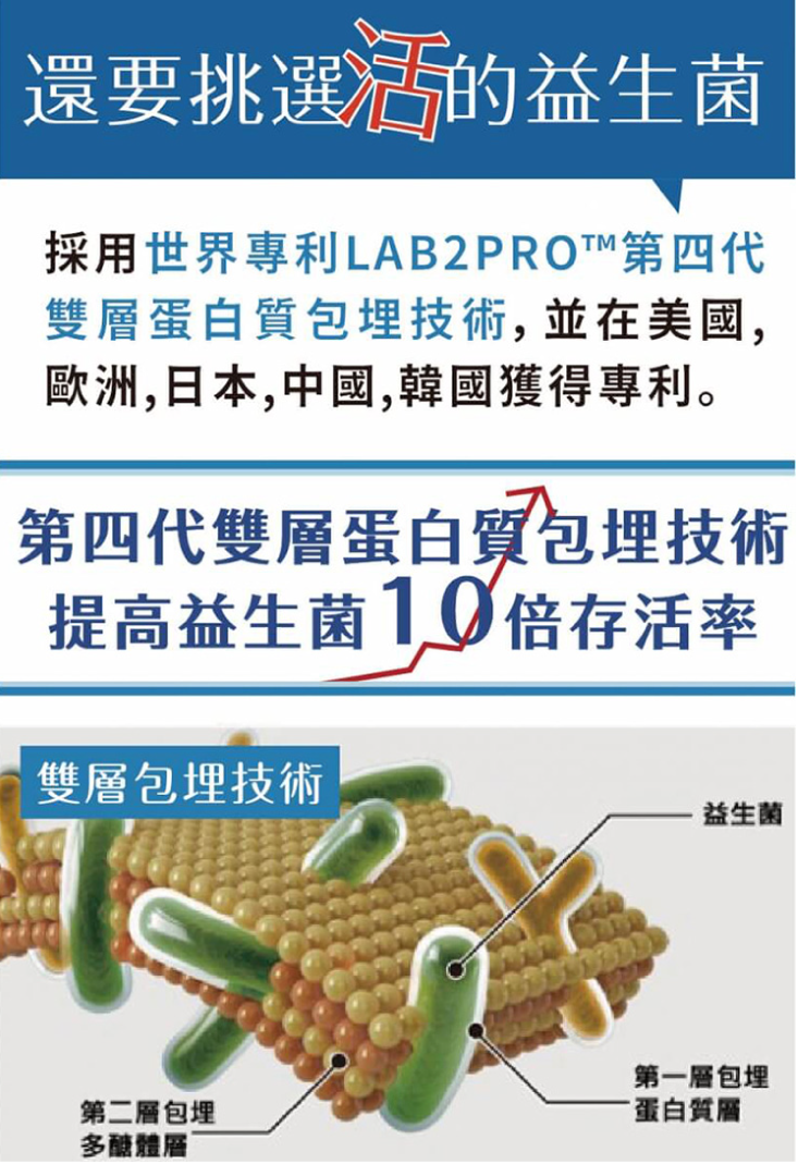 【達摩本草】五國專利300億ABC益生菌(30包/盒) 世界唯一蛋白質雙層包埋