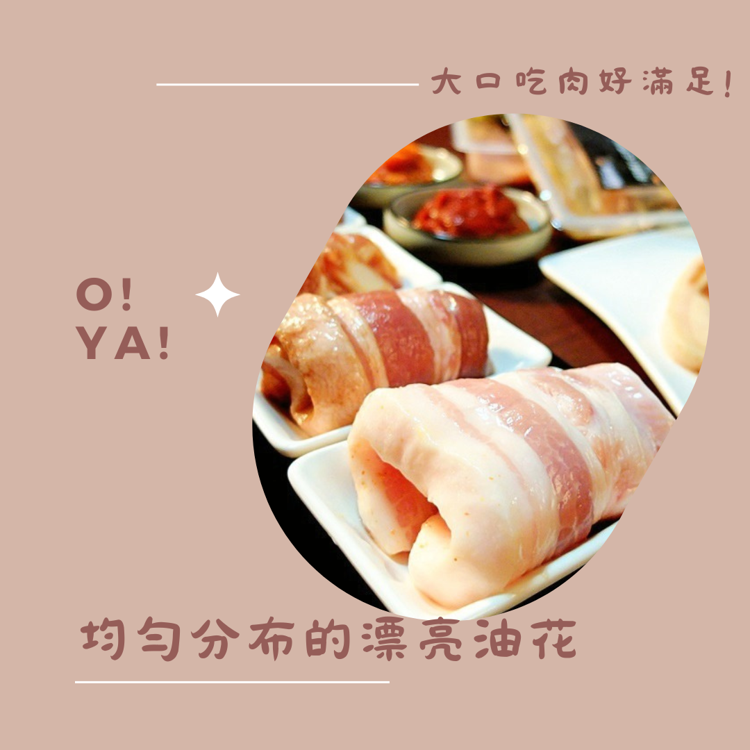【都教授】韓國八色烤肉組