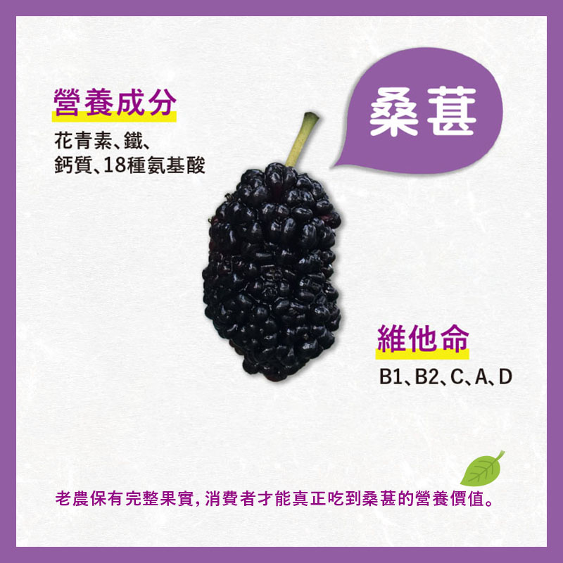 【老農手摘】桑葚濃縮果粒汁600g(原味／鳳梨／金桔／百香果／檸檬)果汁 桑葚汁