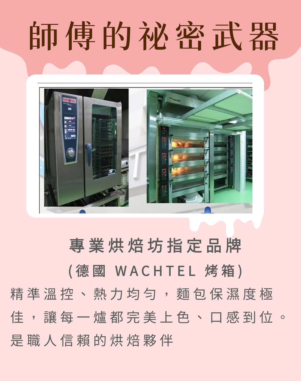 【分享烘焙】維也納牛奶麵包／芋頭麵包／歐克麵包任選(限時加贈)大蒜麵包 堅果雜糧