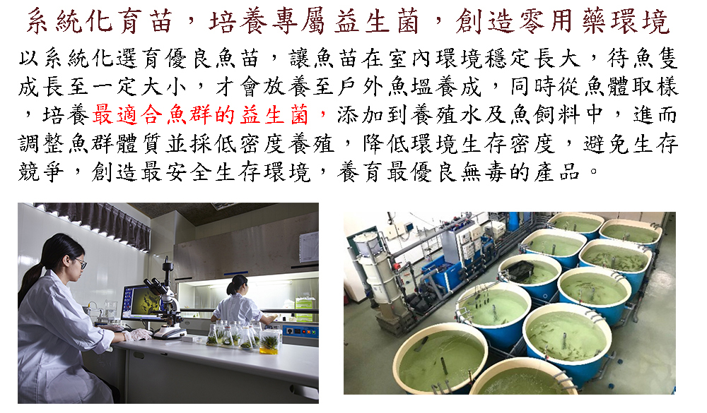 峰漁安心水產純真鱸魚丸