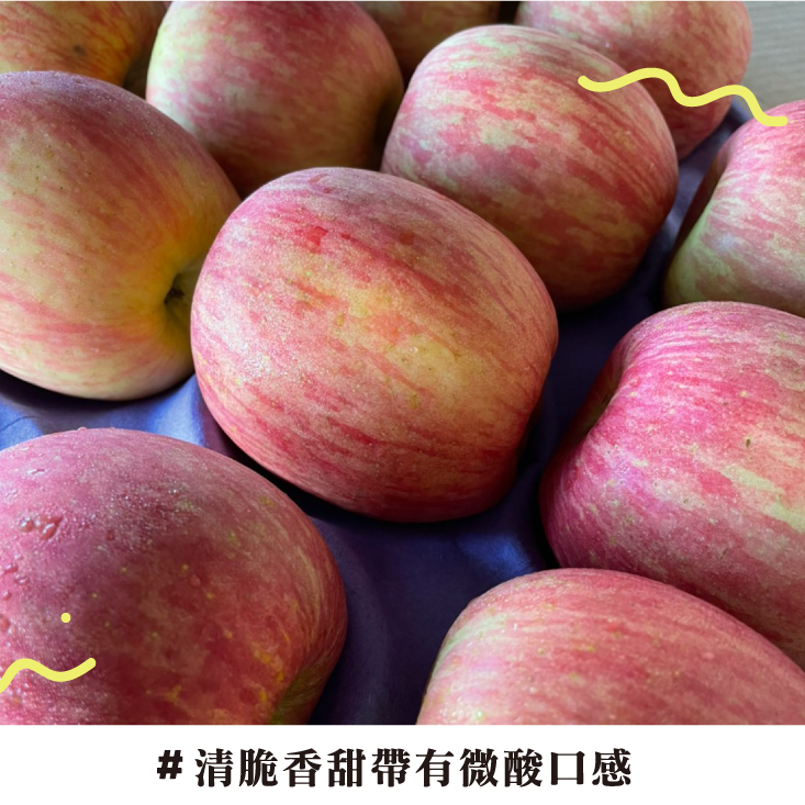 智利富士蘋果6粒禮盒1kg 智利蘋果 水果禮盒 蘋果 大顆蘋果
