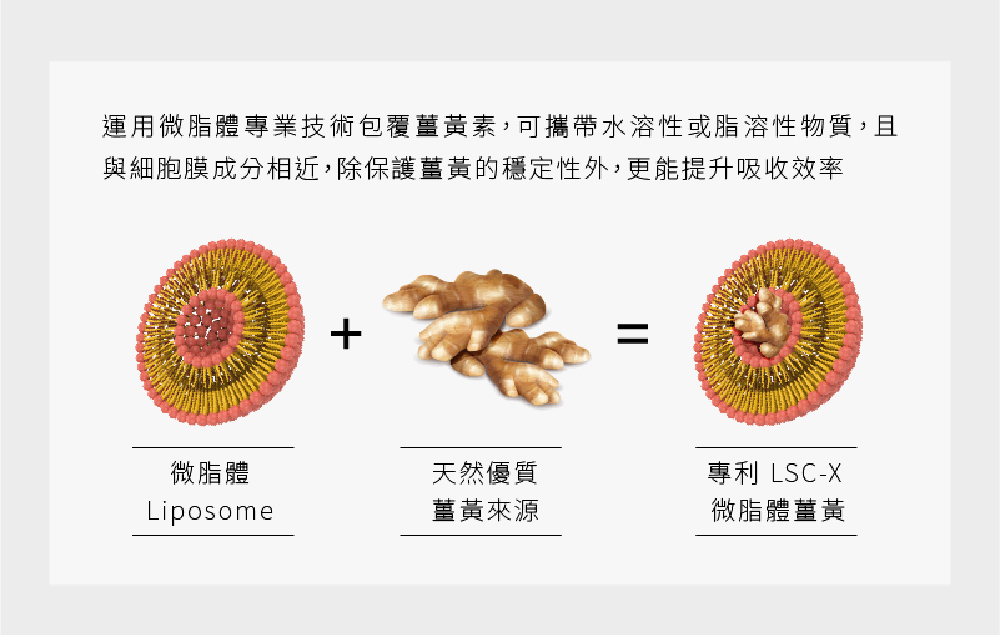 【旺萊山Dr.liu】鳳梨酵素益生菌／旺薑黃(酵素+薑黃素) 調節體質 促進代謝