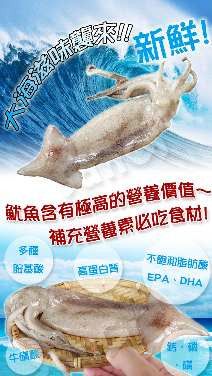       【賣魚的家】燒烤必備深海魷魚 10尾組(350g±3%/2尾/包 