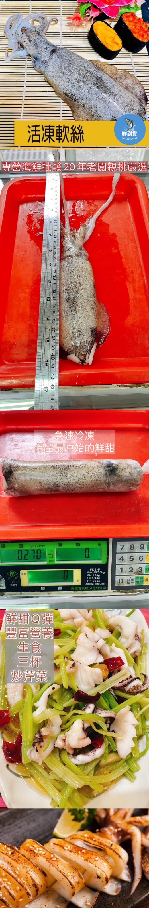 【鮮到貨】生食級6A活凍軟絲 200g~300g/隻