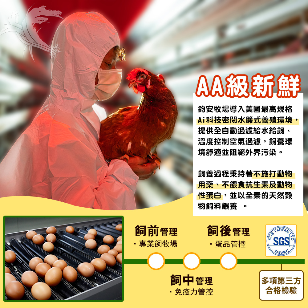 【鈞安牧場】專利配方鎂力機能蛋 土雞蛋(24顆/箱) 雞蛋 生雞蛋 蛋 無抗生素