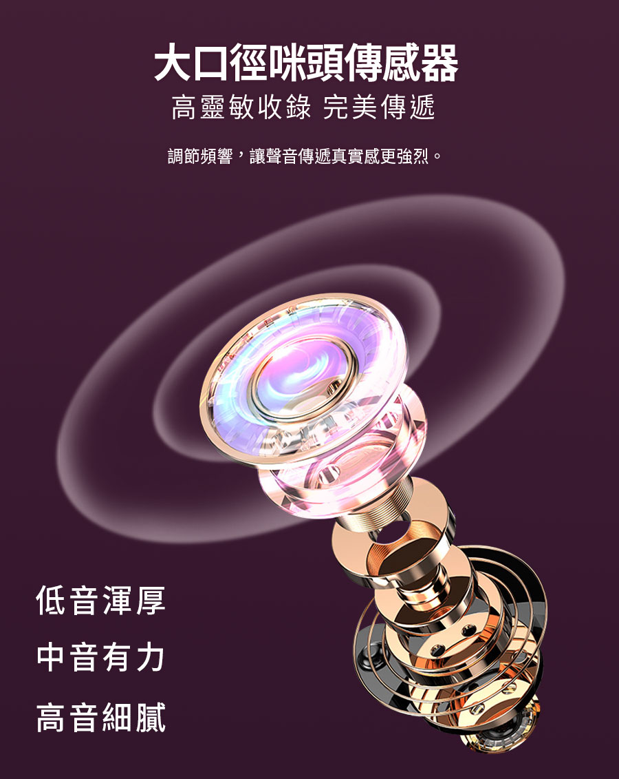 【Miuzic沐音】Pure PE5卡拉大頭麥 8W大功率無線對唱麥克風