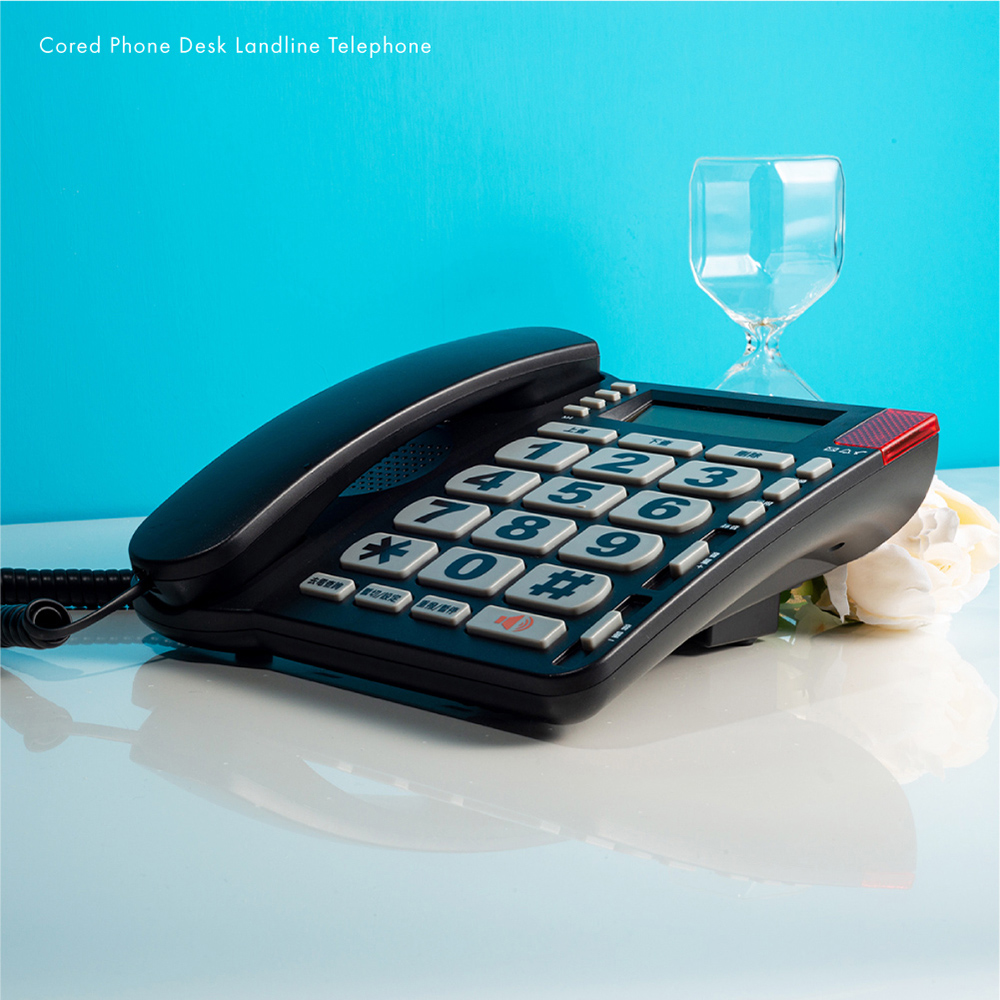 【TCSTAR】雙制式來電顯示大字鍵有線電話 TCT-PH200