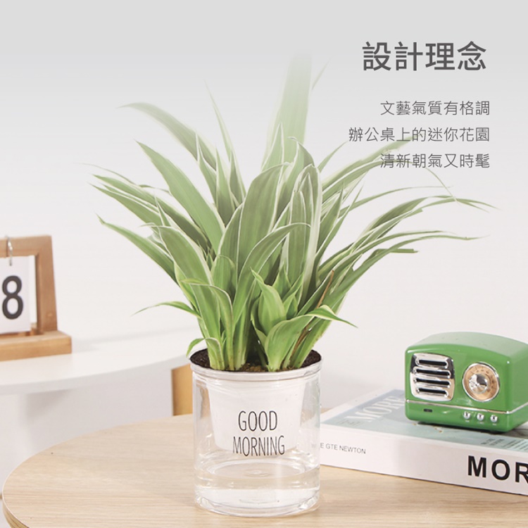 懶人福音自動吸水透明花盆